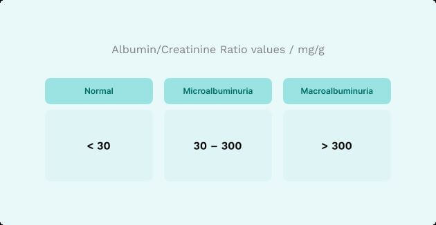 Infographics Albumin/ Creatinine Ratio