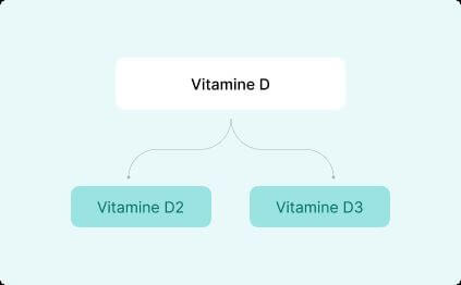 Vitamine D bestaat uit 2 verschillende onderdelen D2 en D3