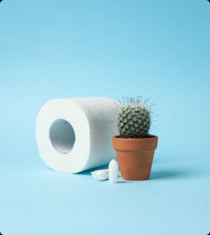 wc rol met cactus